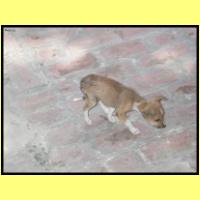 Dscn3138_s.jpg