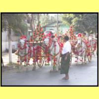 Dscn3236_s.jpg