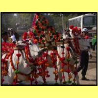 Dscn3238_s.jpg