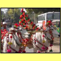 Dscn3239_s.jpg