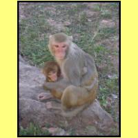 Dscn3286_s.jpg
