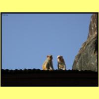 Dscn3293_s.jpg