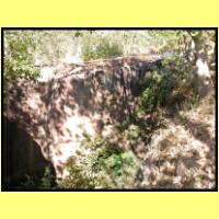 Dscn3327_s.jpg