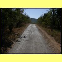 Dscn3343_s.jpg