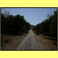 Dscn3345_s.jpg
