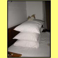 Dscn3413_s.jpg