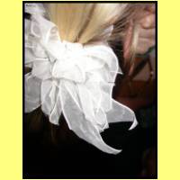 DSCN9965_s.jpg