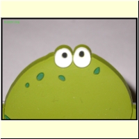DSCN0047_s.jpg
