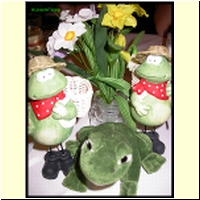 DSCN0049_s.jpg