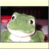 DSCN0078_s.jpg