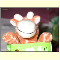 DSCN0081_s.jpg