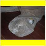 DSCN2205_s.JPG