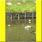 DSCN2362_s.JPG