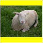 DSCN2419_s.JPG