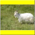 DSCN2454_s.JPG