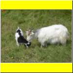 DSCN2455_s.JPG