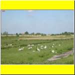 DSCN2492_s.JPG