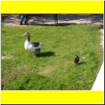 DSCN2550_s.JPG