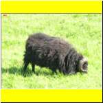 DSCN2558_s.JPG