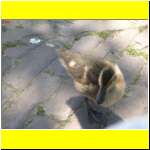 DSCN2560_s.JPG