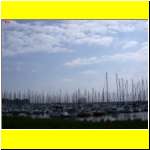 DSCN4724il_s.JPG