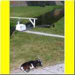 DSCN4746il_s.JPG