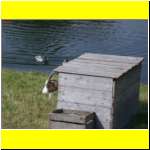 DSCN4749il_s.JPG