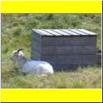 DSCN4755il_s.JPG