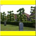 DSCN4794il_s.JPG