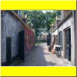 DSCN4809il_s.JPG