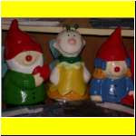 DSCN4834il_s.JPG