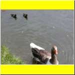 DSCN4846il_s.JPG