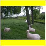 DSCN4890il_s.JPG