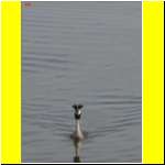 DSCN4907il_s.JPG