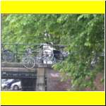 DSCN4993il_s.JPG
