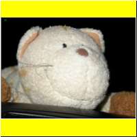 DSCN5167_s.jpg