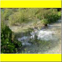 DSCN5201_s.jpg