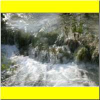 DSCN5202_s.jpg