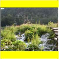 DSCN5204_s.jpg