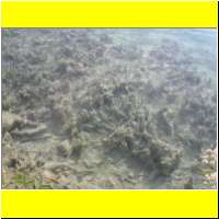 DSCN5209_s.jpg
