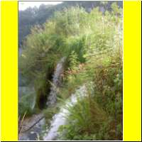 DSCN5213_s.jpg