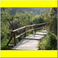 DSCN5224_s.jpg