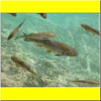 DSCN5228_s.jpg
