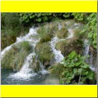 DSCN5236_s.jpg