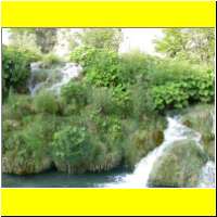 DSCN5237_s.jpg