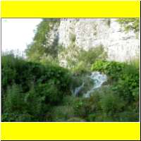 DSCN5238_s.jpg