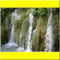 DSCN5240_s.jpg