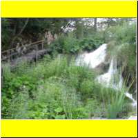 DSCN5244_s.jpg