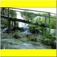 DSCN5245_s.jpg