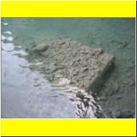 DSCN5246_s.jpg